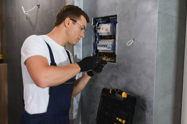 Best Affordable Electrician  in De Soto, IA